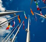 Der Eurodistrikt und seine Organisation