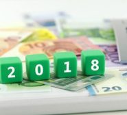 Französisches Finanzgesetz und französisches Steuerrecht